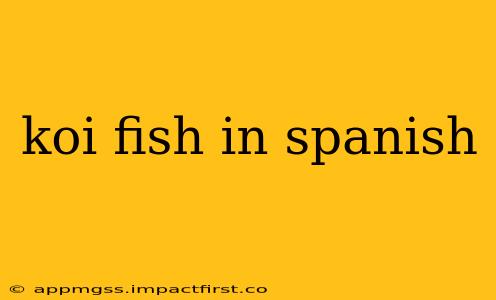 koi fish in spanish