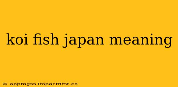 koi fish japan meaning