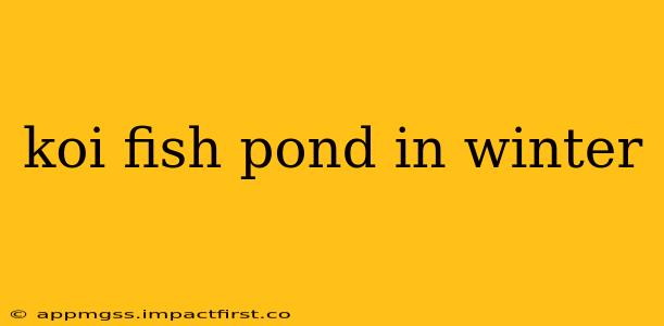 koi fish pond in winter