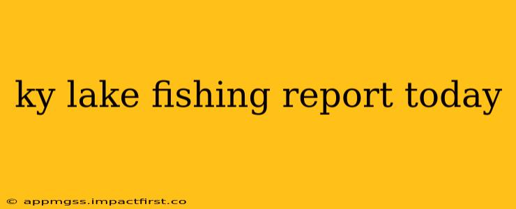 ky lake fishing report today