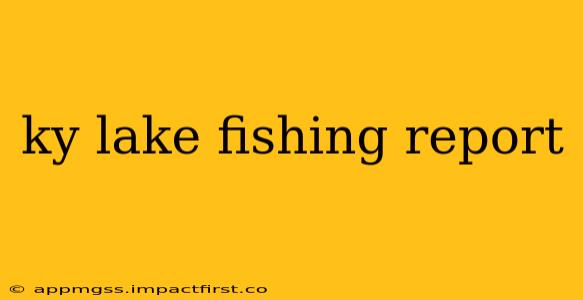 ky lake fishing report