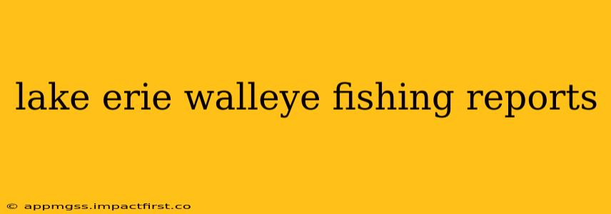 lake erie walleye fishing reports