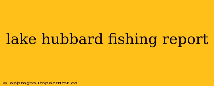 lake hubbard fishing report
