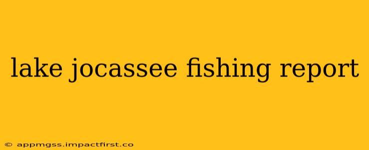 lake jocassee fishing report