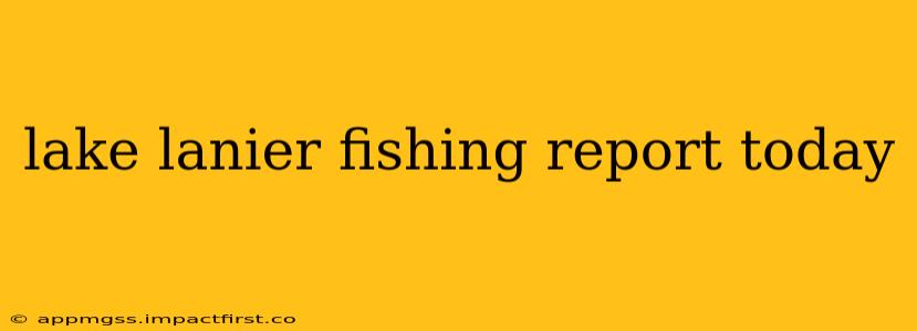 lake lanier fishing report today