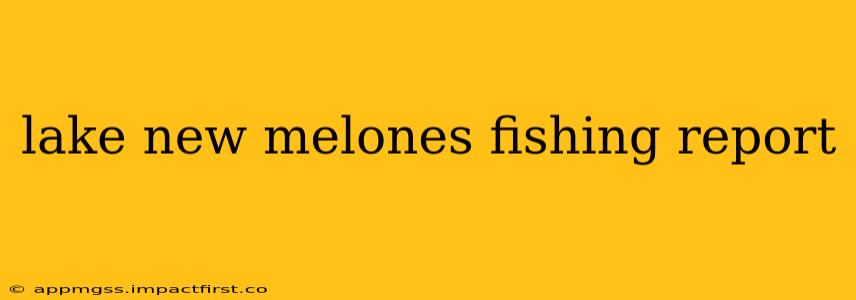lake new melones fishing report