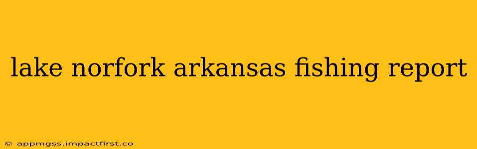 lake norfork arkansas fishing report