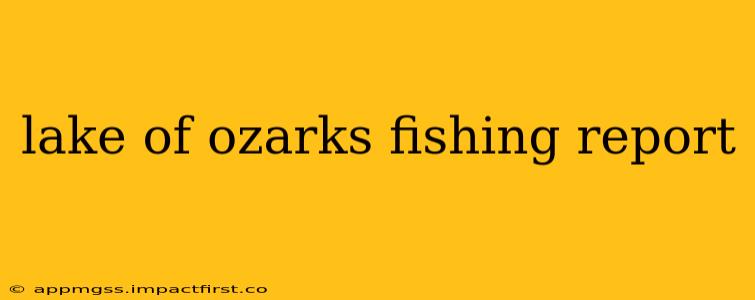 lake of ozarks fishing report