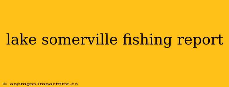 lake somerville fishing report