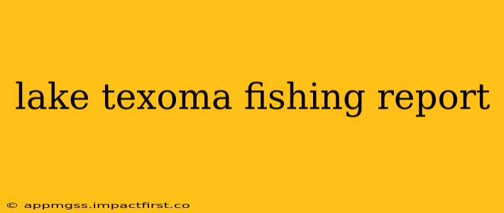 lake texoma fishing report