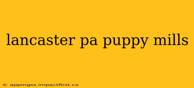 lancaster pa puppy mills
