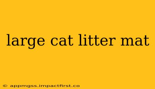 large cat litter mat