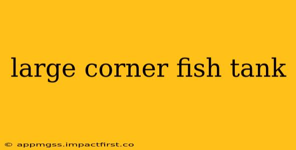large corner fish tank