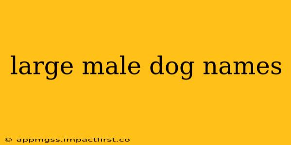 large male dog names