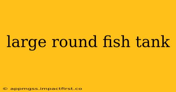 large round fish tank