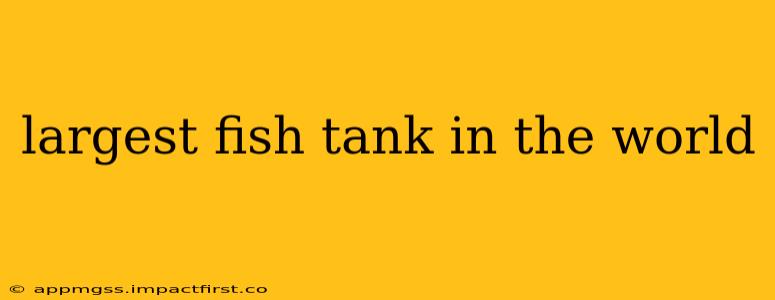 largest fish tank in the world