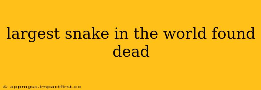 largest snake in the world found dead