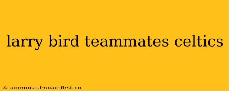 larry bird teammates celtics