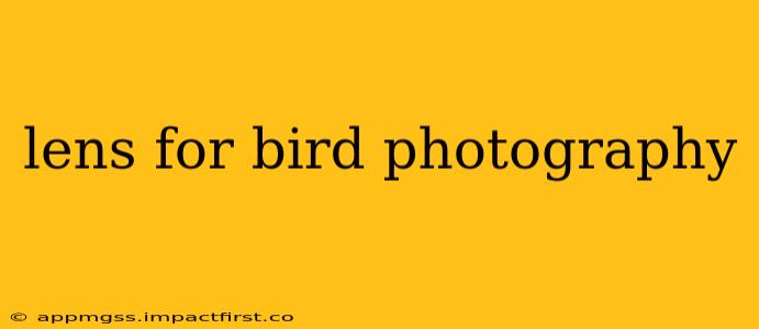 lens for bird photography