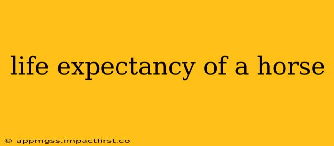 life expectancy of a horse