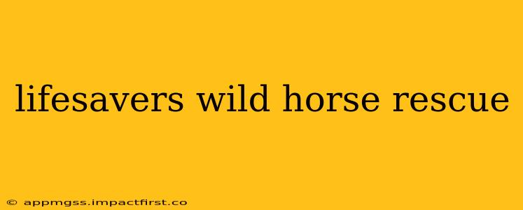 lifesavers wild horse rescue