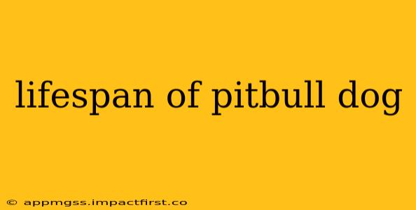 lifespan of pitbull dog