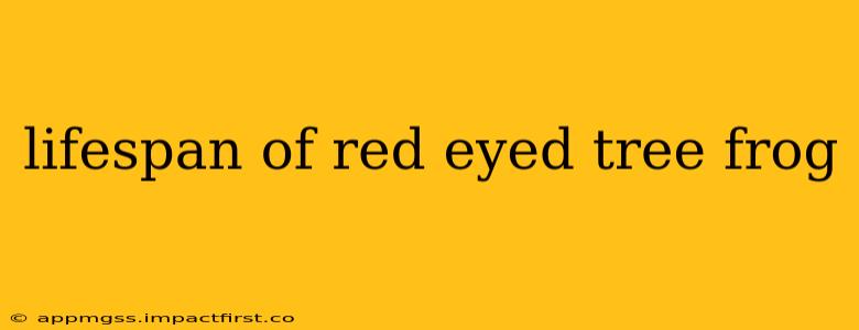 lifespan of red eyed tree frog