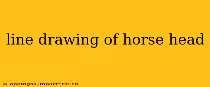 line drawing of horse head