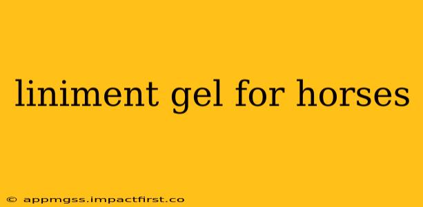 liniment gel for horses