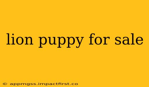 lion puppy for sale