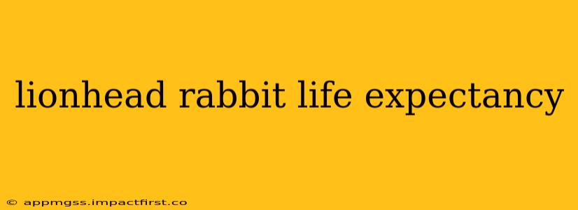 lionhead rabbit life expectancy