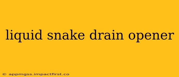 liquid snake drain opener