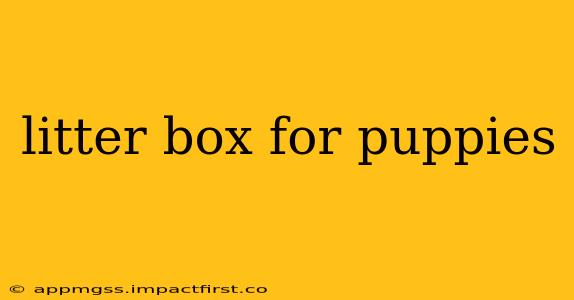 litter box for puppies