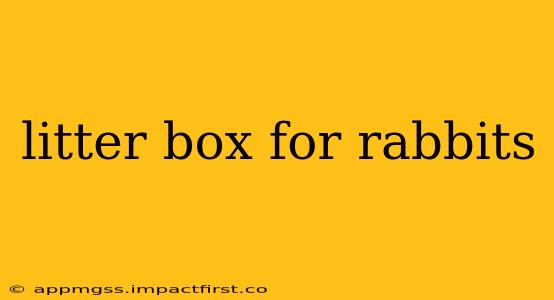 litter box for rabbits
