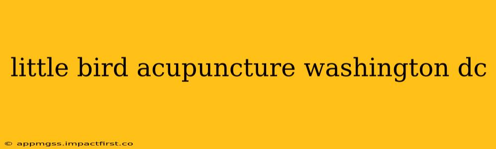 little bird acupuncture washington dc