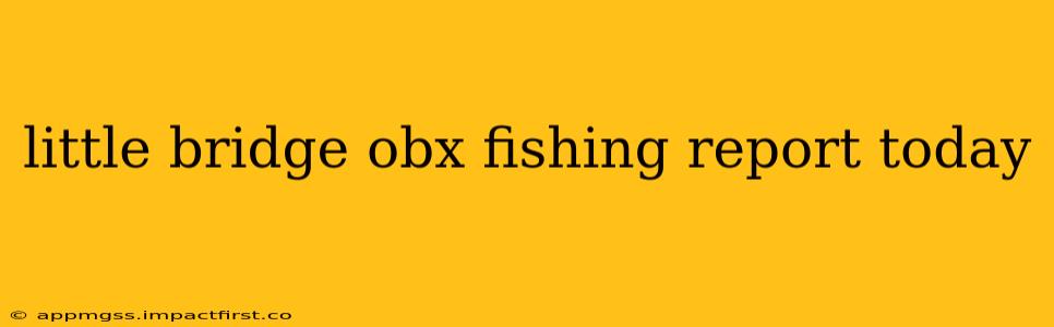 little bridge obx fishing report today