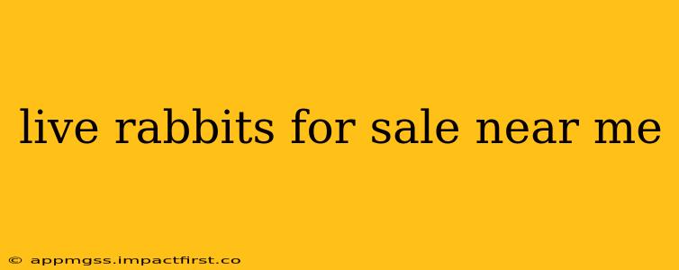 live rabbits for sale near me