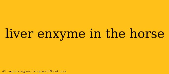 liver enxyme in the horse
