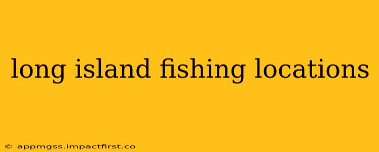 long island fishing locations