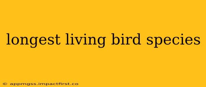 longest living bird species