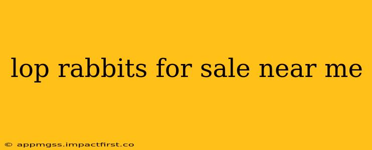 lop rabbits for sale near me