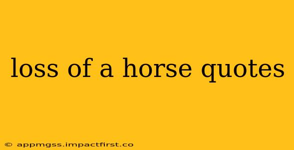 loss of a horse quotes