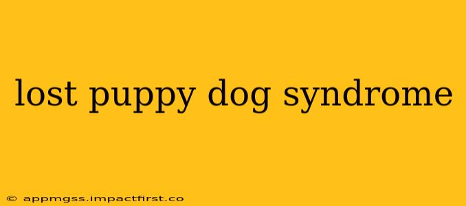 lost puppy dog syndrome