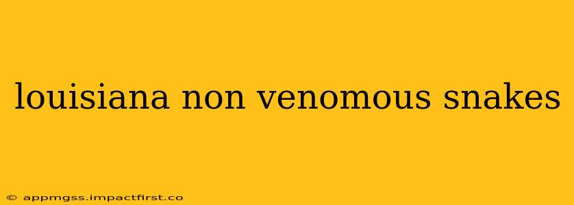 louisiana non venomous snakes