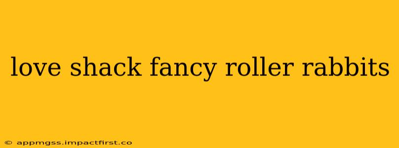 love shack fancy roller rabbits