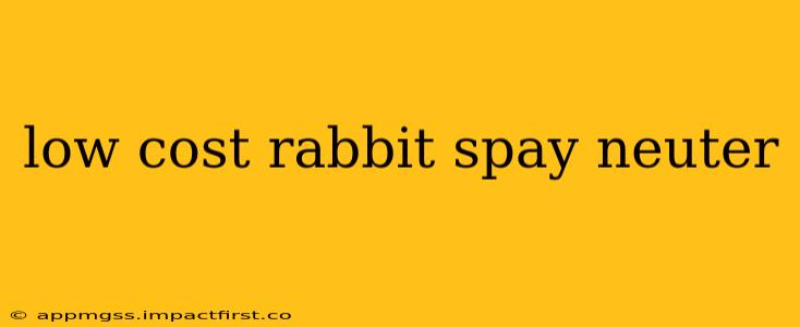 low cost rabbit spay neuter