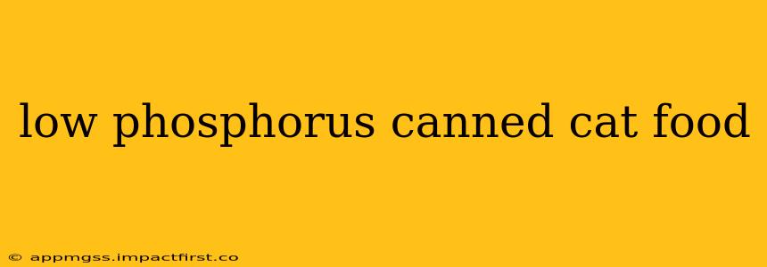 low phosphorus canned cat food