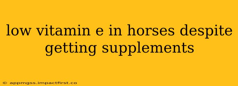 low vitamin e in horses despite getting supplements
