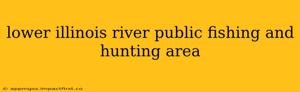lower illinois river public fishing and hunting area