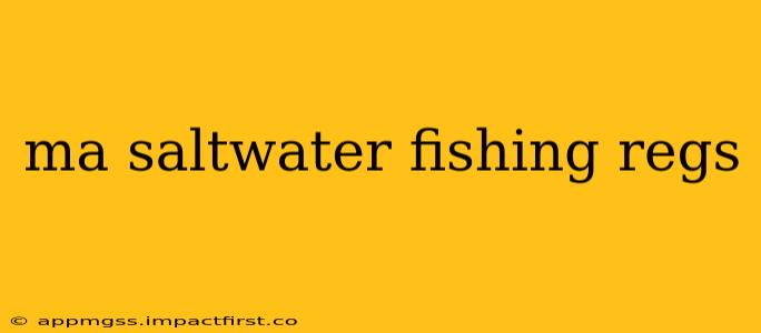 ma saltwater fishing regs